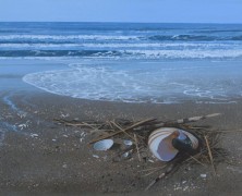 La memoria del mare